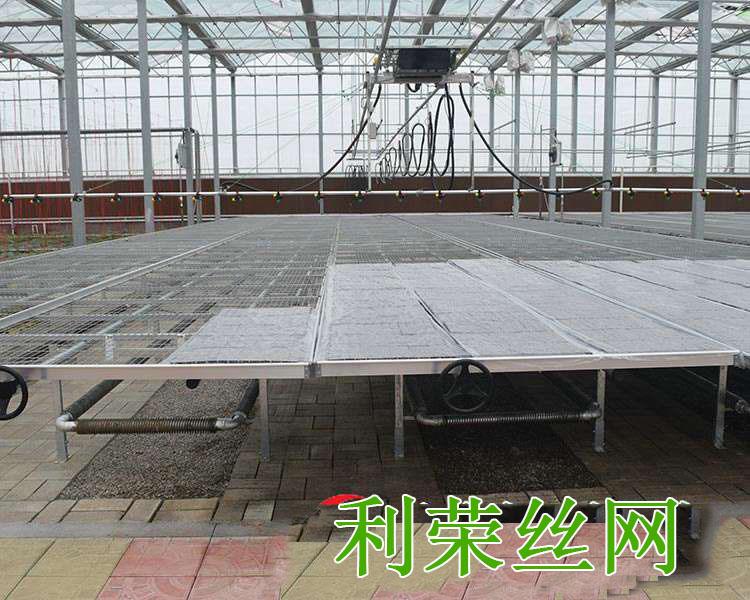 养花苗床
