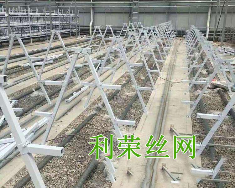 无土栽培草莓架