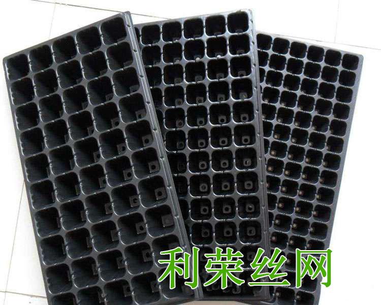 育苗穴盘