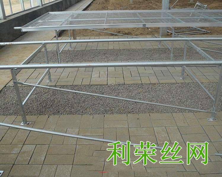 苗床验收