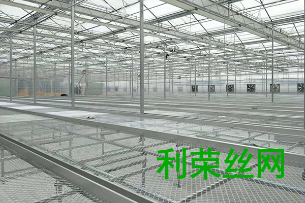 菱形苗床网